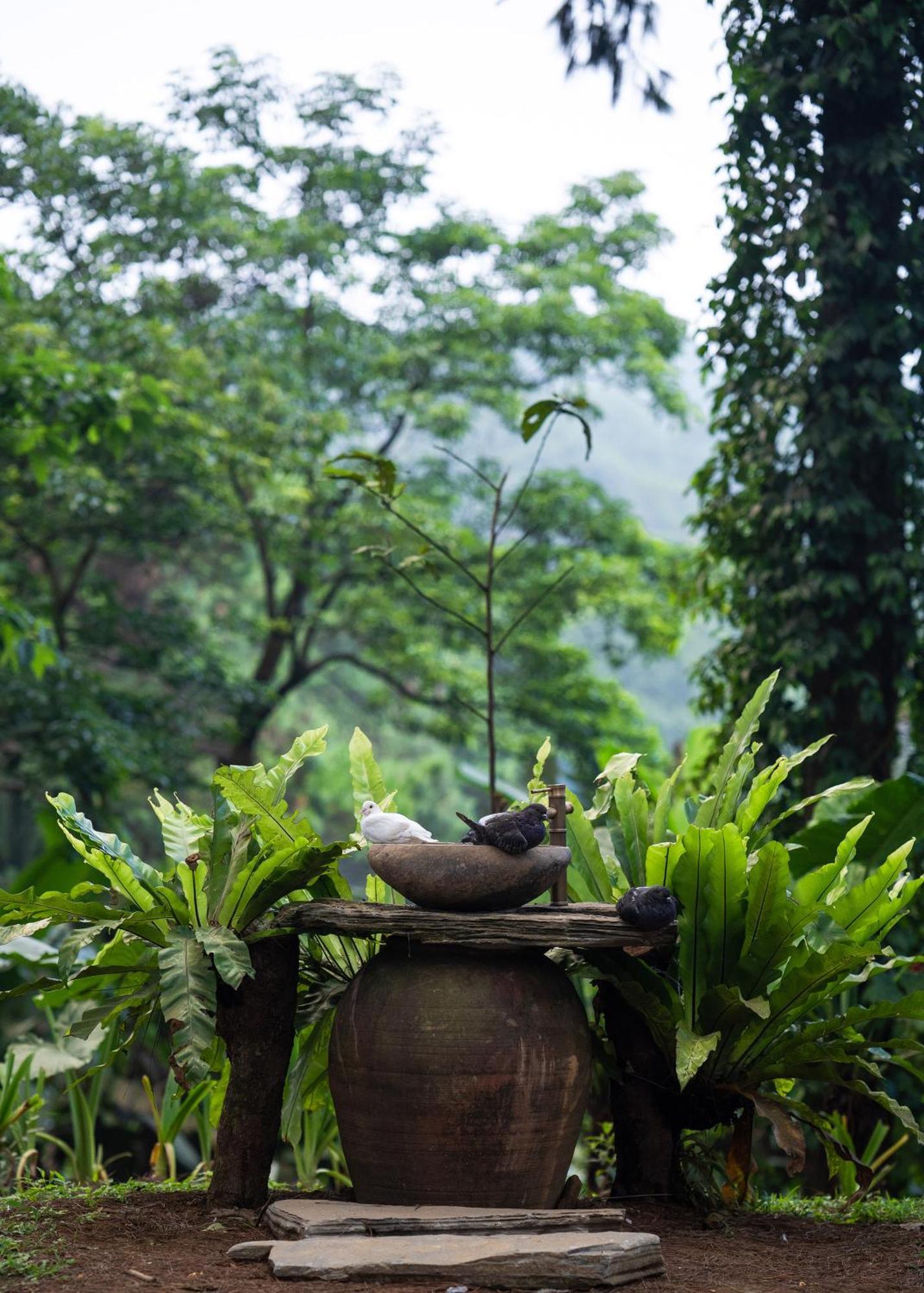 Melia Ba Vi Mountain Retreat Hanoi